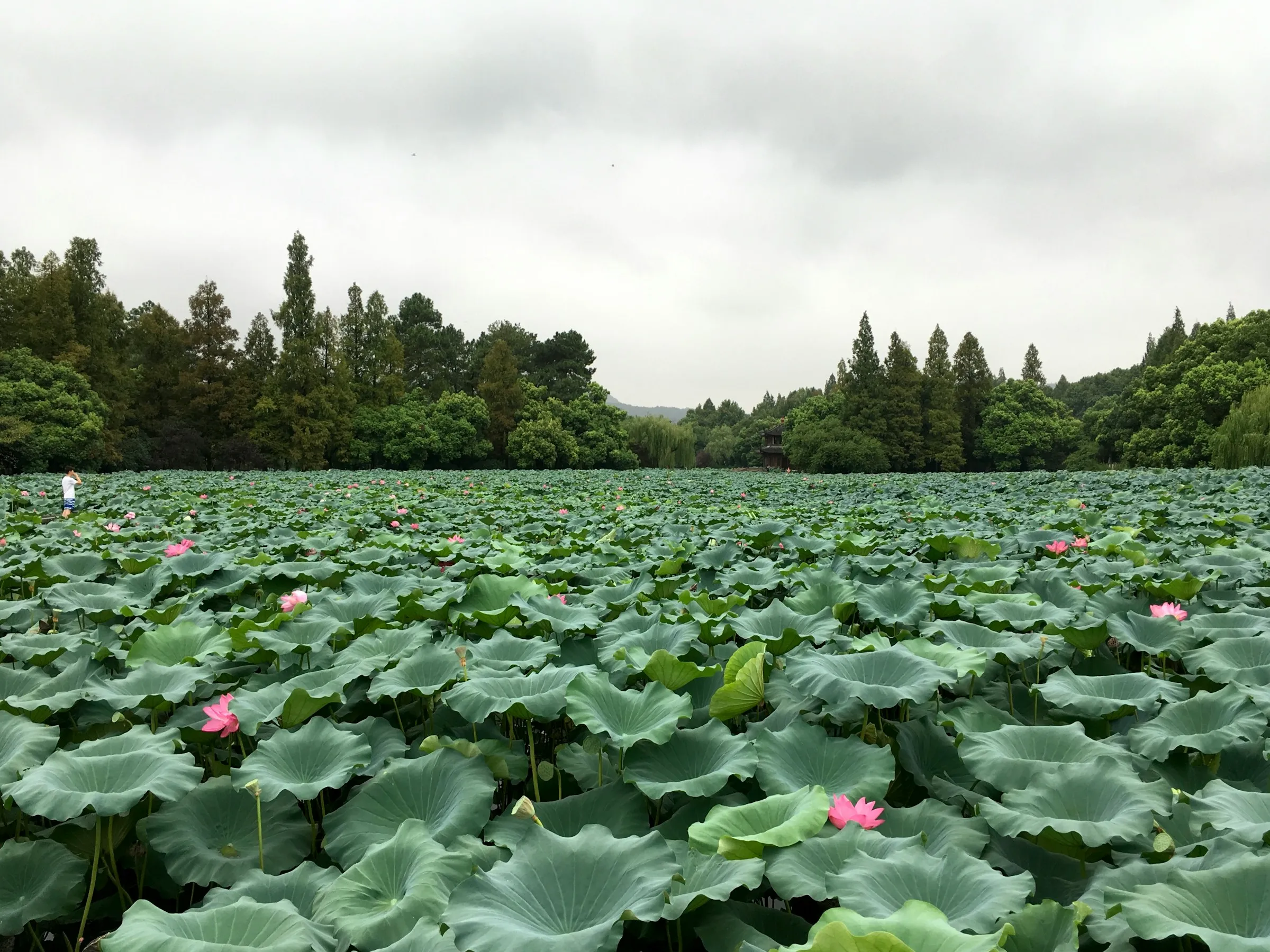 Hangzhou West Lake UNESCO Site